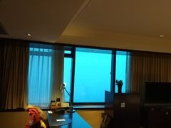 -上海龙之梦万丽酒店