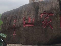 -陈家山荷花公园