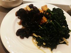 -南阳建业森林半岛假日酒店