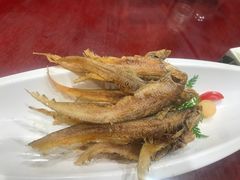 -森谷美食公园(杨行店)