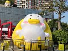 -坂田天虹
