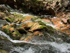 -五女峰国家森林公园