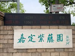 -嘉定紫藤园