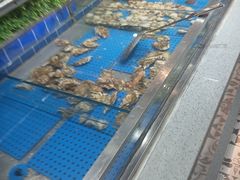 -格瑞欧海鲜自助烤肉火锅(光彩店)