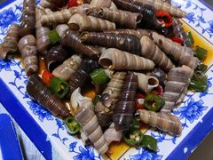 -0532啤酒屋
