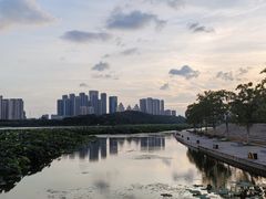 -月湖风景区