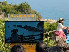 -杨梅坑