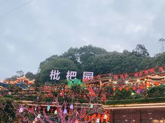 -枇杷园食为鲜火锅(南山店)