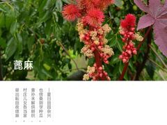 -官厅老勾渔馆(温泉店)