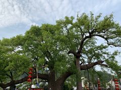 -新安江山水画廊风景区