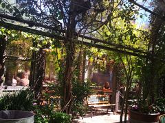 -The Grounds of Alexandria