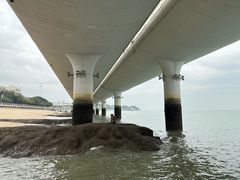 -白城沙滩