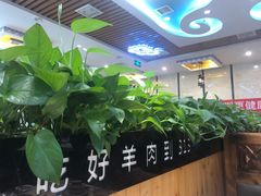 大堂-313羊庄·羊肉火锅烧烤(李村店)