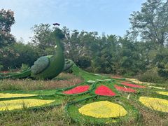 -泗洪洪泽湖湿地景区