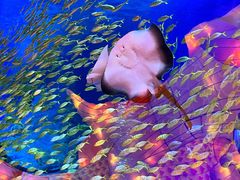 -正佳极地海洋世界