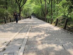 -上海佘山国家森林公园天马山园