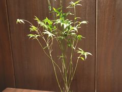 -无味舒食(思南公馆店)
