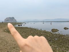 -兴旺渔家