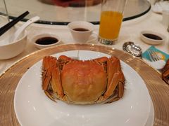 -阳澄湖费尔蒙酒店