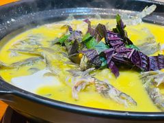砂锅黄辣丁-厨道重庆菜馆(鸳鸯店)