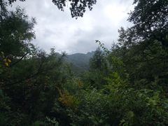 -小陇山国家森林公园桃花沟景区