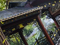 -顺峰山公园
