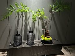 -珠海棕泉酒店(拱北口岸高铁站店)