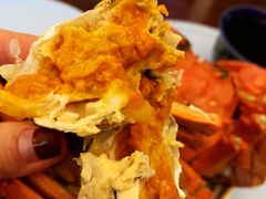 -黄记大闸蟹专卖店·活蟹·醉蟹