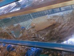 -启博美食城(孟家店)
