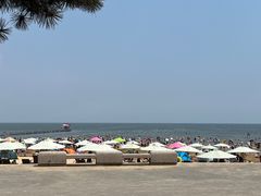 -日照海滨国家森林公园