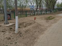 -绿堤公园