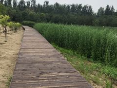 -东郊湿地公园