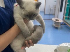 -博特宠物医院24h犬猫全科.骨科·异宠