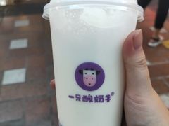-一只酸奶牛(八一路店)