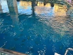 -SHRIMP CLUB万东餐饮钓虾·清吧