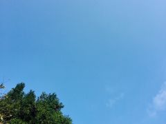 -山王坪喀斯特国家生态公园