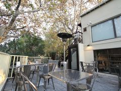 IMG_5399-Ginger(兴国路店)