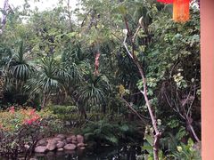 -三亚海棠湾南田温泉神龙谷