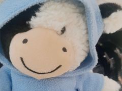 -泰康拜博口腔(凯迪大厦店)