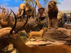 -陕西自然博物馆