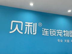 -贝利宠物医院·骨科·眼科·肿瘤转诊中心(南坪诊疗中心)
