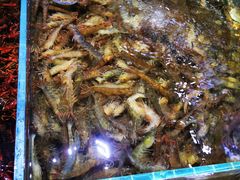 -聚盛源蒸汽海鲜火锅烤肉自助(巨川金海岸购物广场店)