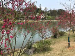 -常德桃花源景区