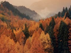 -山王坪喀斯特国家生态公园