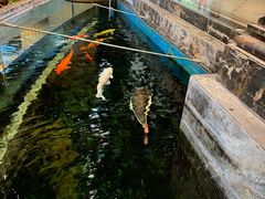 -新世纪大酒楼·30年南海菜