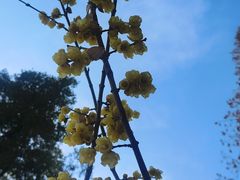 -蜀冈西峰生态公园