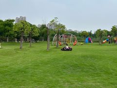 -菊园百果园