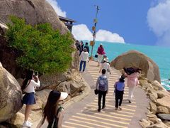 -广东惠东海龟国家级自然保护区