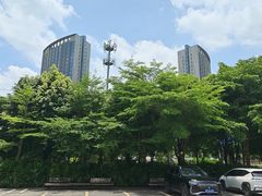 -广西体育中心-游泳馆
