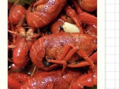 -香满锅老北京羊蝎子火锅·家常菜(新街口店)